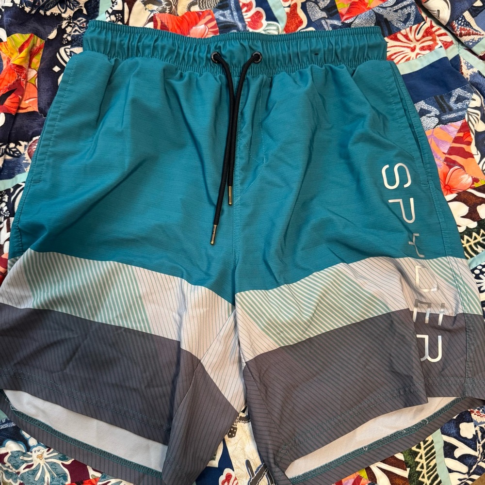 Spyder Men’s swim shorts